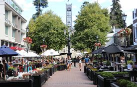 Dining in Nelson